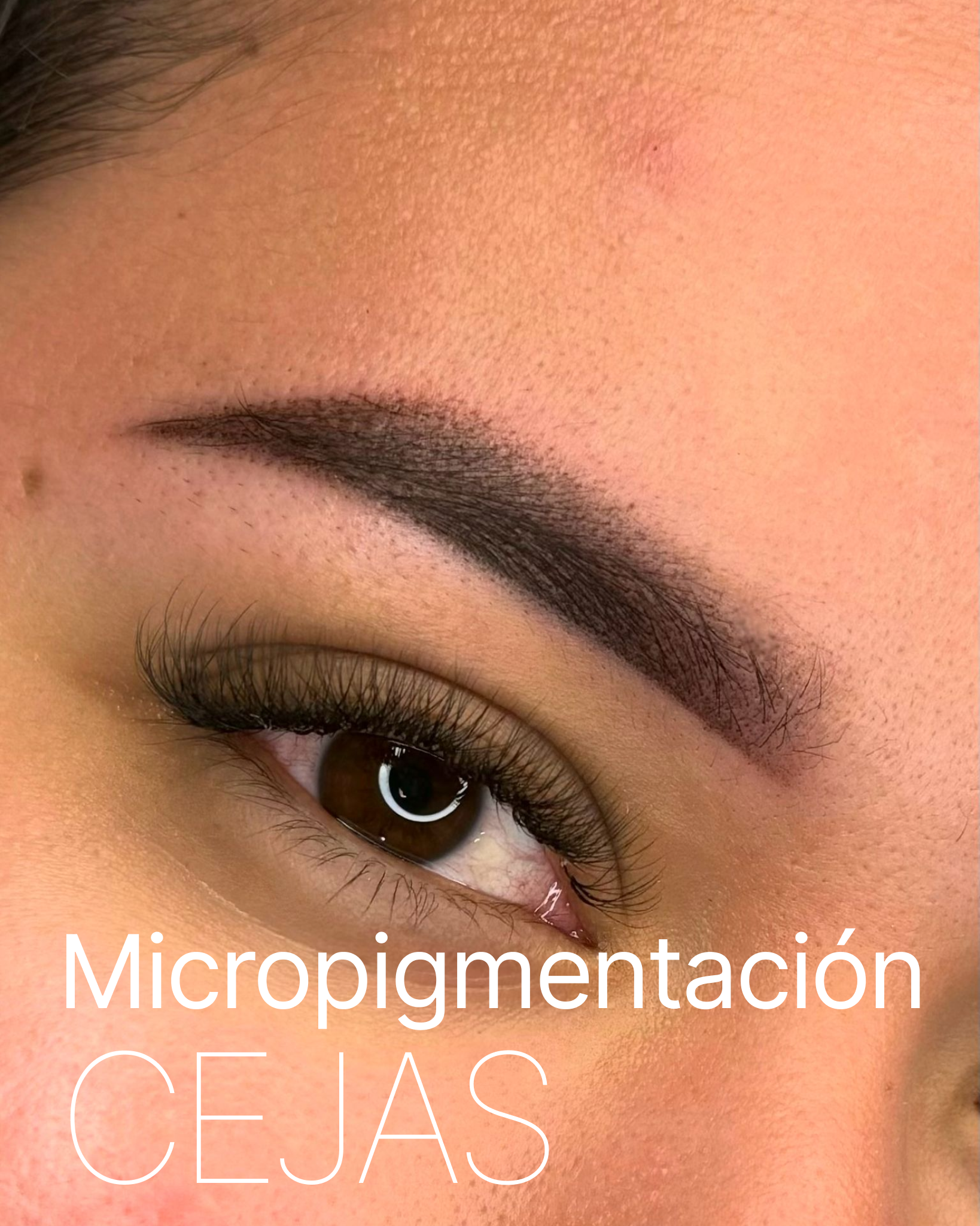 cejas-new