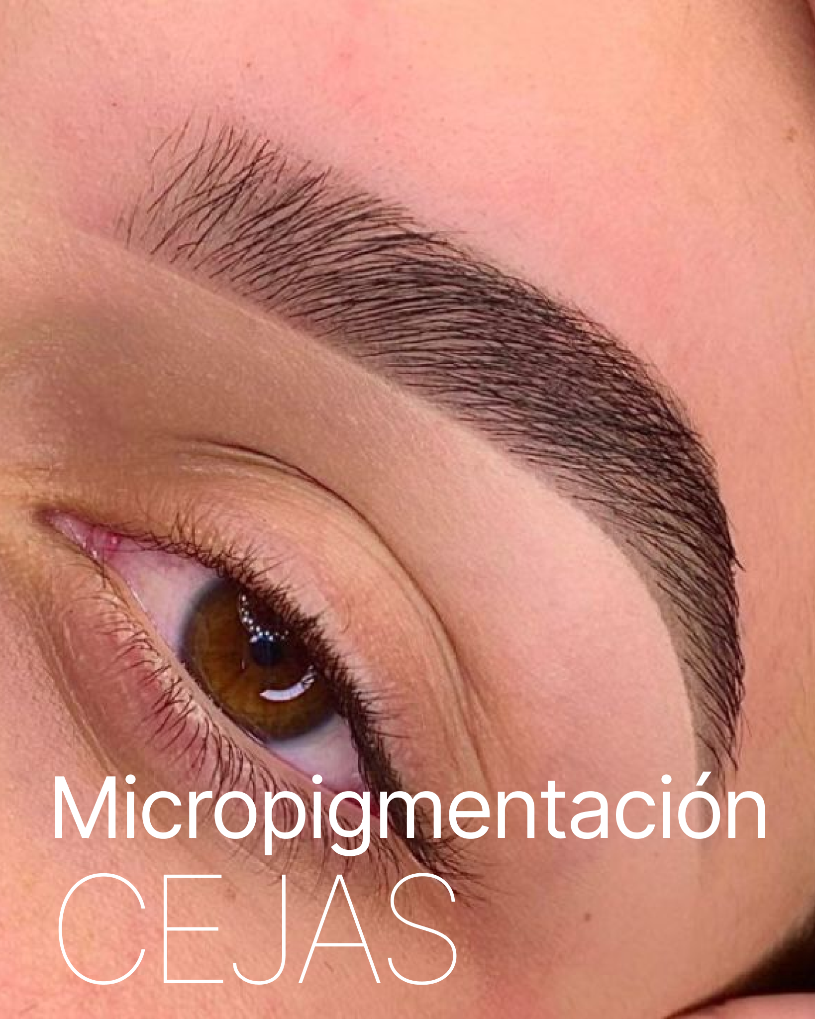 cejas-new3